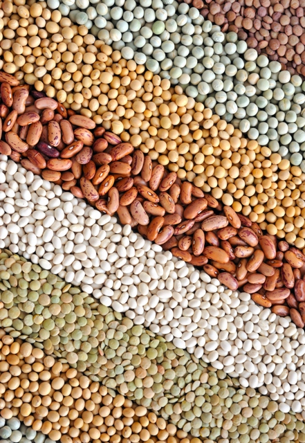 Soja 178 - Crédito Shutterstock