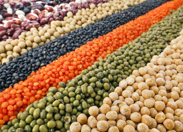 Soja 181 - Crédito Shutterstock (01 - 2014)