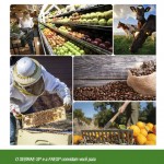 Convite – programa do campo ao consumidor