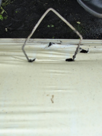 Detalhe de sugestão de estrutura de fixação do mulching - Crédito Rumy Goto