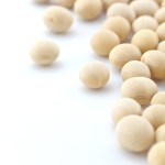 Soja – Crédito Shutterstock