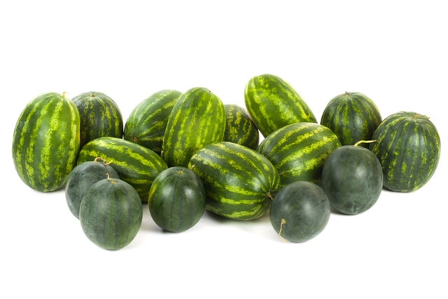 Existem vários tipos de melancia - Fotos Shutterstock