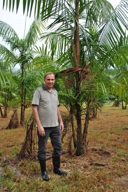Silas Mochiutti, doutor em Ciências Florestais e pesquisador da Embrapa -Crédito Simone Pessoa
