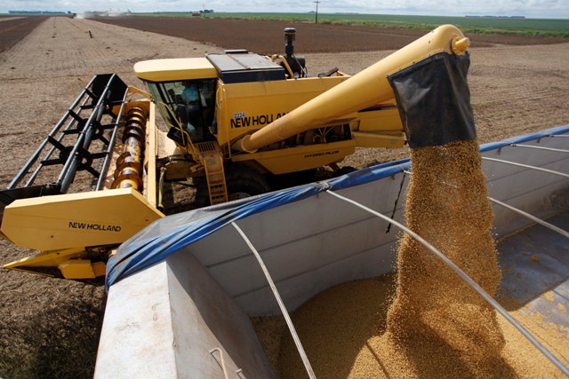 Os prós-de-termos-estrangeiros-investindo-na-agricultura-brasileira-é-contar-com-profissionais competentes produzindo no Brasil-Crédito Sape