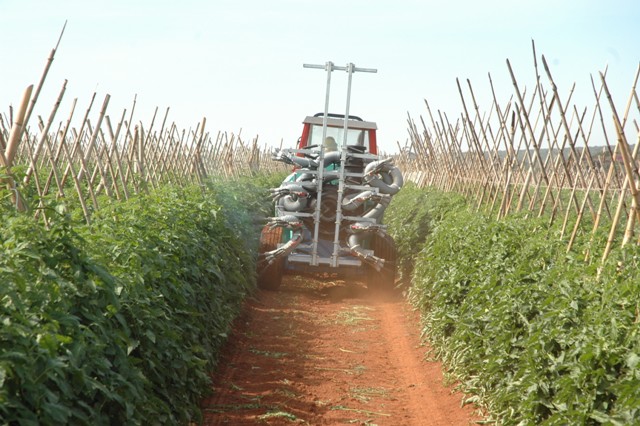 Pulverizações, via foliar, podem ser uma medida complementar eficiente de suprimento de cálcio - Crédito Luize Hess