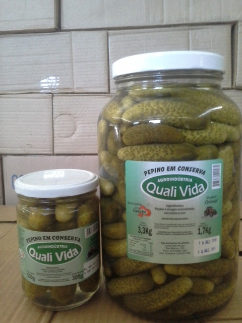 A Quali Vida planta 18.000 pés de pepino, o que gera uma média de 35.000 kg - Crédito Evandro Camatti