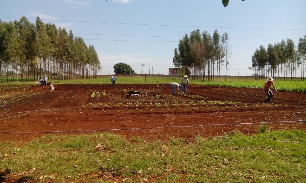 Horta_BIOS_para_Tecnofam_na_Embrapa_Agropecuaria_Oeste(foto_por_Marcio_Ito)