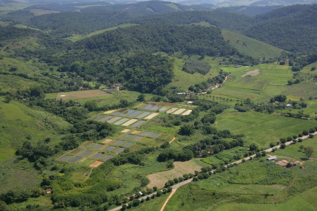 Área de piscicultura do Campo Experimental de Leopoldina, da EPAMIG