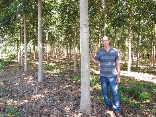 Eduardo Stehling, biólogo, gestor de Melhoramento e Produção da Bela Vista Florestal