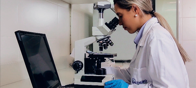 Há uma grande preocupação com a qualidade dos produtos - Crédito Ballagro