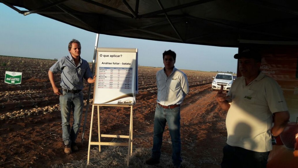 A Agrozap promoveu o 2º Dia de Campo, na propriedade de Dinho Varaldo, em Almeida Campos (MG) - Crédito Bio Soja