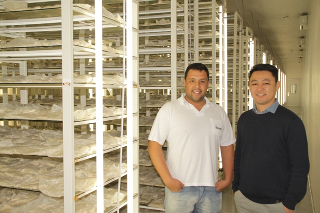 A Ballagro conta com equipe capacitada para garantir alta qualidade na produção - Crédito Luize Hess