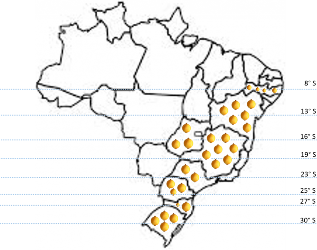 Representação gráfica das principais regiões produtoras de cebola do Brasil e suas respectivas latitudes.