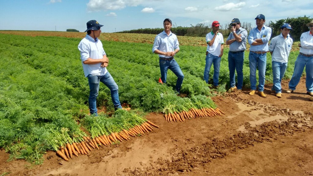 Crédito Agristar do Brasil (6)