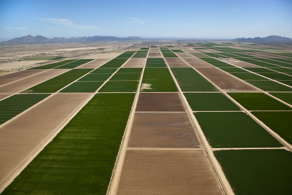 A agricultura digital será capaz de conectar informações para uma agricultura mais precisa e eficiente - Crédito