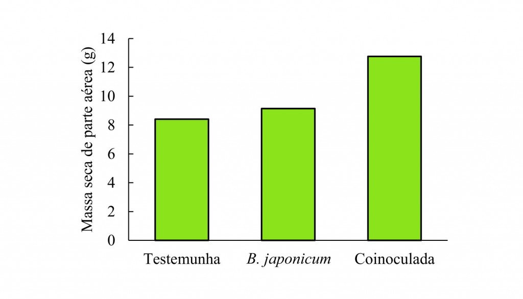  Coinoculação garante maiores produtividades