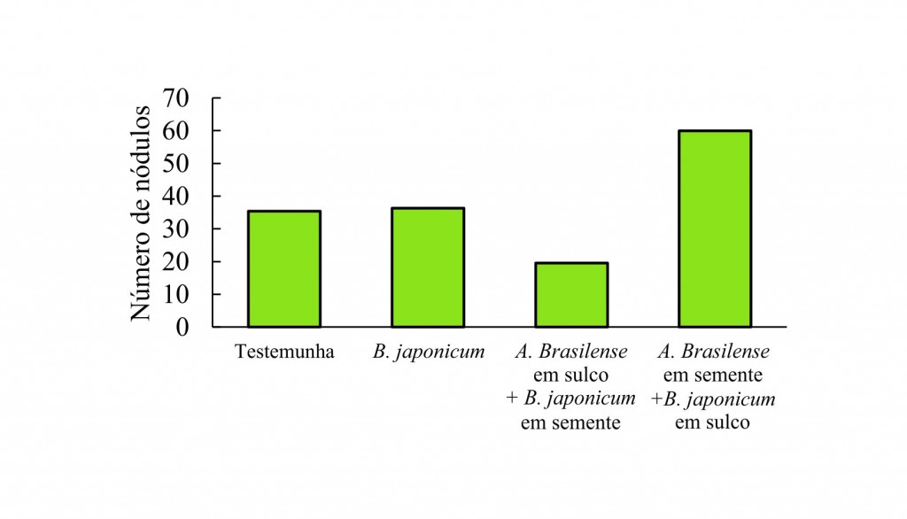  Coinoculação garante maiores produtividades