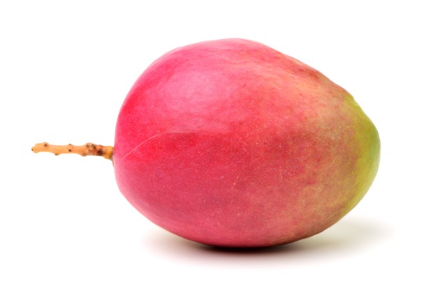 Crédito Shutterstock