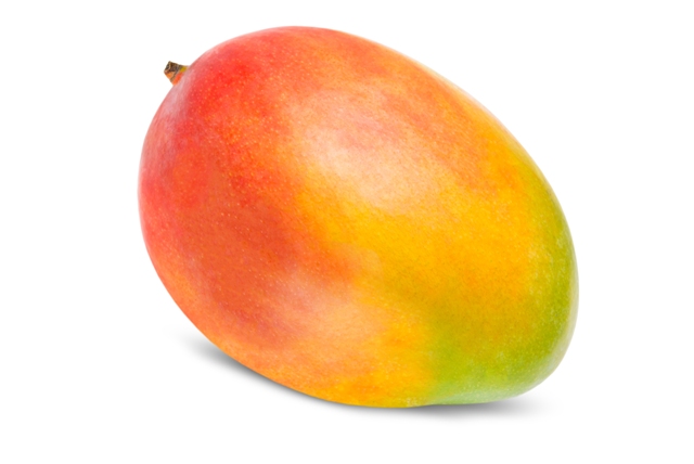 Crédito Shutterstock