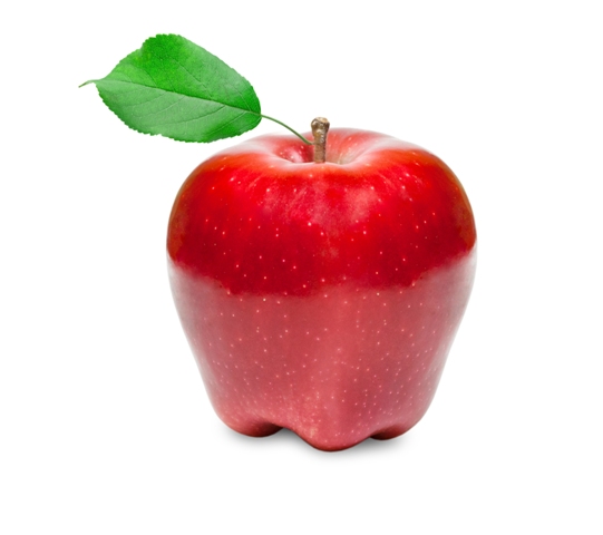 Crédito Shutterstock