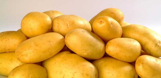 Crédito Dow AgroSciences