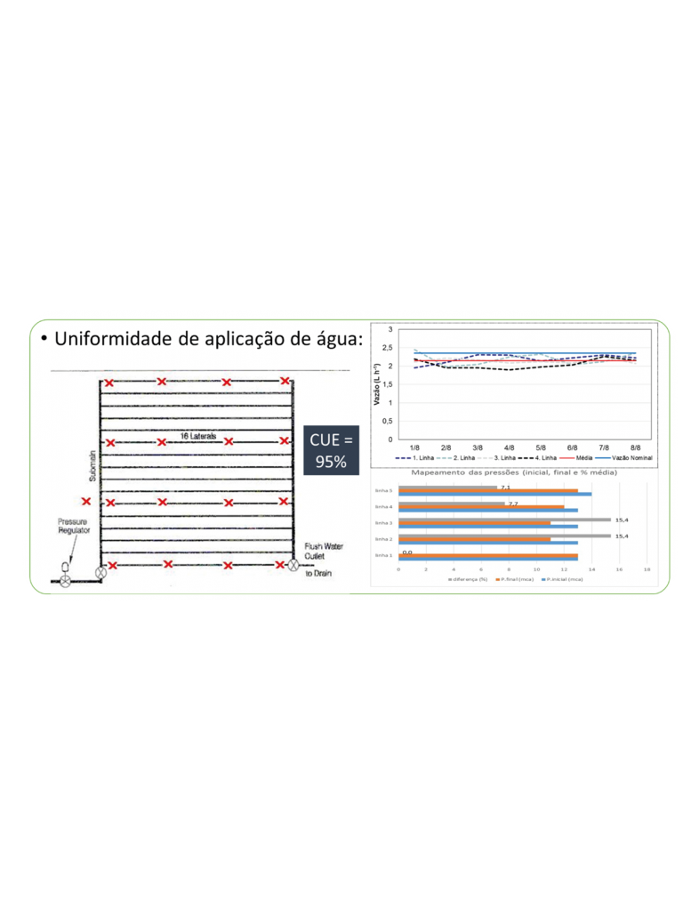 Gráfico Uniformidade para visualizar-01