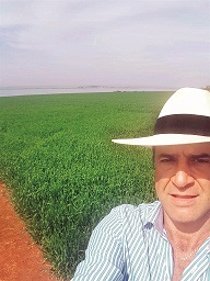 Eduardo Abrahim, consultor na cultura do trigo e sócio-proprietário da Abrahim Sementes e Corretora Entregrãos - Fotos Eduardo Abrahim