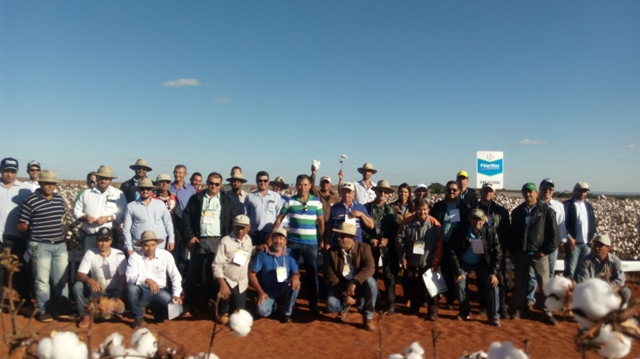 Em 2017, o Dia de Campo da Amipa atraiu cerca de 380 pessoas até a Fazenda Engenho Velho, município de Patrocínio - Fotos Amipa